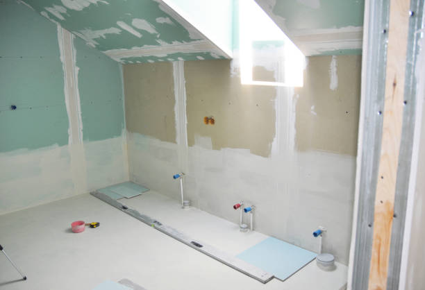 Best Basement Mold Removal  in Pleasant View, TN