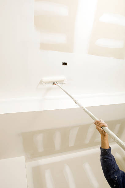 Best Mold Documentation for Insurance Claims  in Pleasant View, TN
