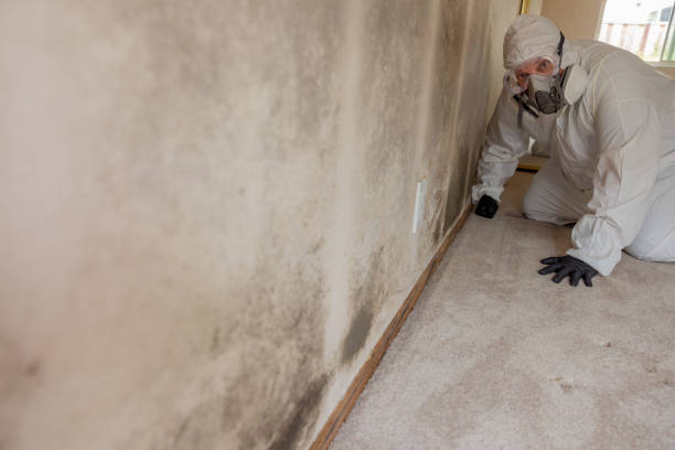 Best Mold Remediation for Healthcare Facilities  in Pleasant View, TN
